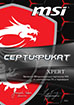 MSI